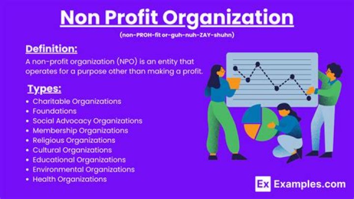 What is non-profit organization management industry?