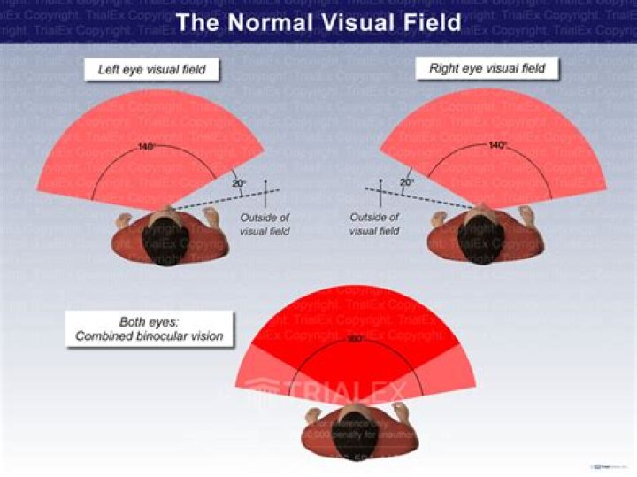 What is normal field of vision?