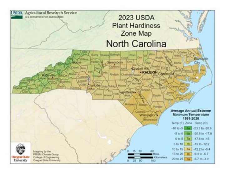 What is North Carolina Executive Order 122?