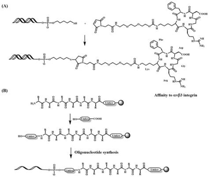 What is Oligofectamine?