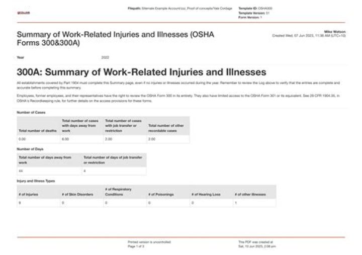 What is OSHA Form 300A?