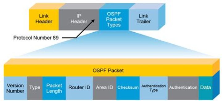 What is OSPF packet format?