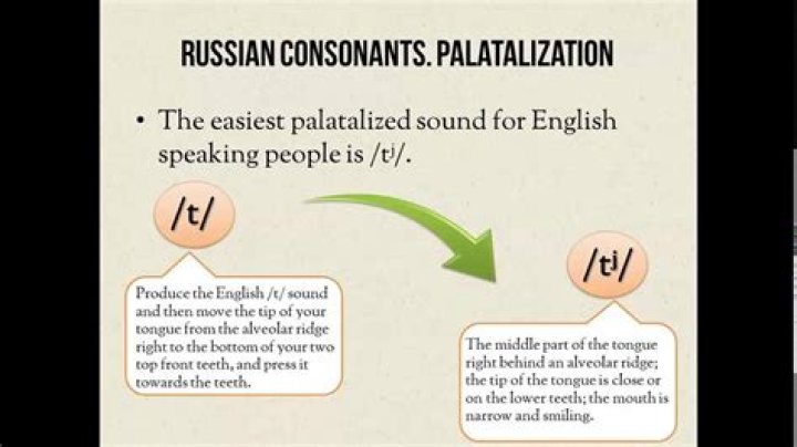 What is palatalization linguistics?