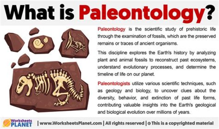 What is paleontological evidence?