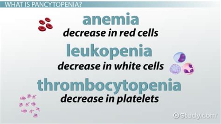 What is pancytopenia Anaemia?