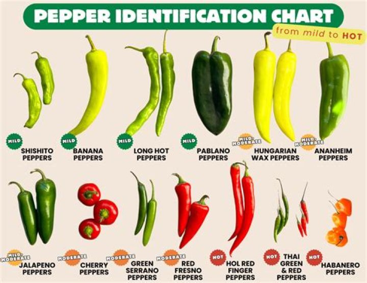 What is Pebre made of?