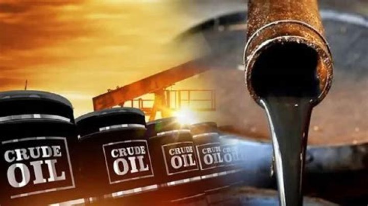 What is perilla oil used for?
