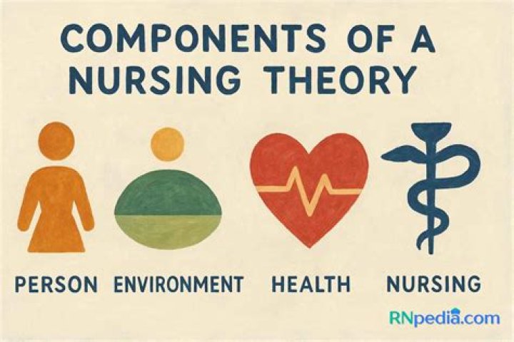 What is perspective theory in nursing?