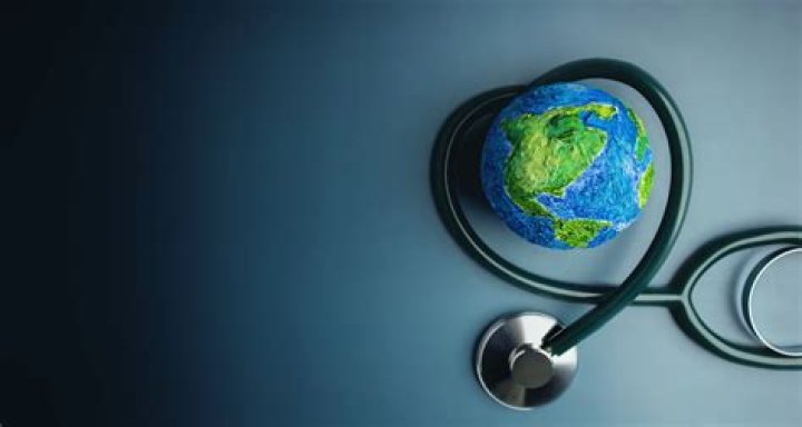 What is PG diploma in public health?