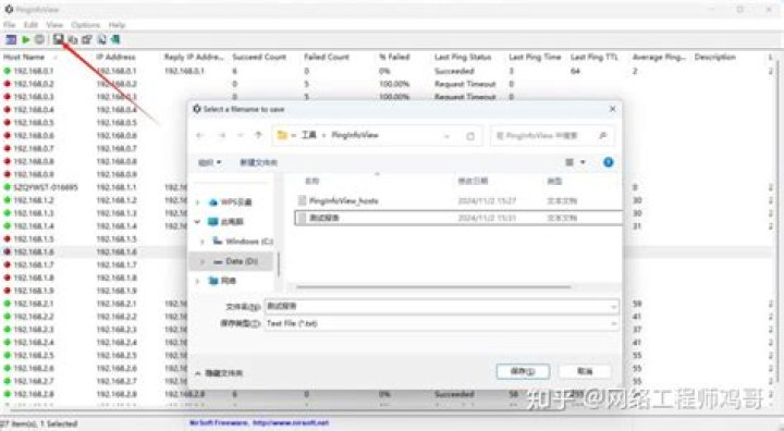 What is PingInfoView?