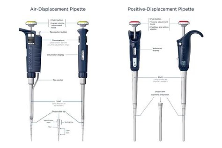What is PIPETMAN?