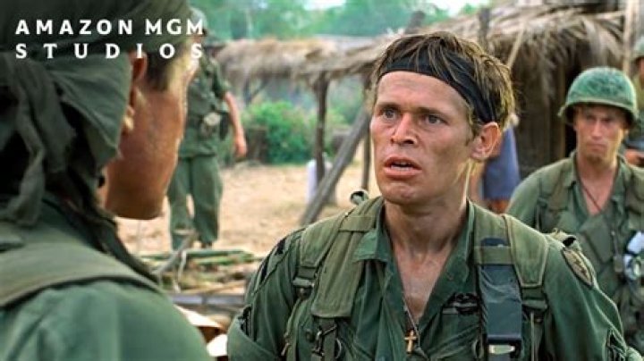 What is platoon movie about?