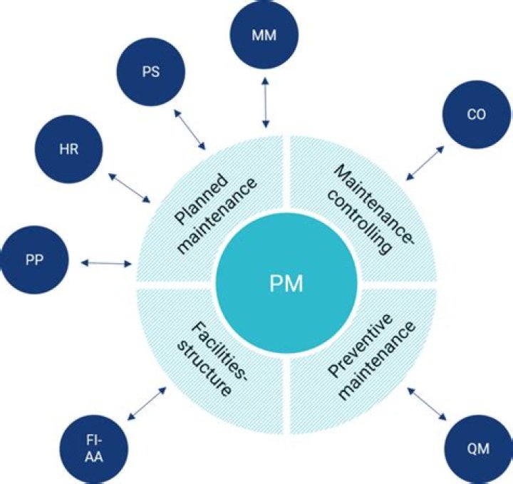 What is PM Activity type?