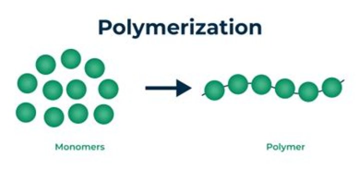 What is polymerization of fat?