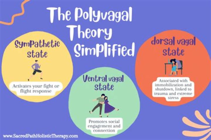 What is Polyvagal theory used for?