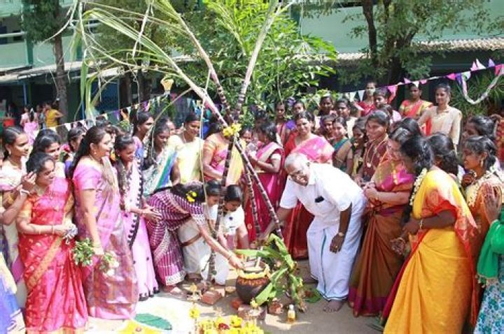 What is Pongal festival in Tamil?