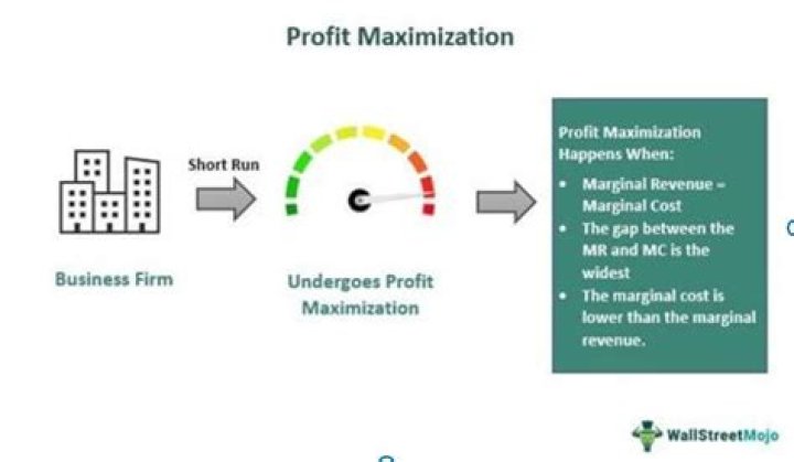 What is Profit maximization PPT?