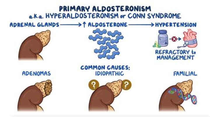 What is pseudo hypo aldosteronism?