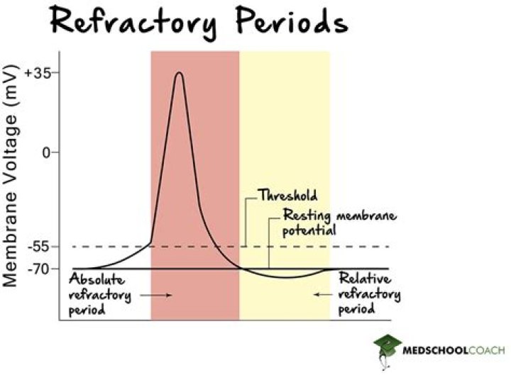 What is psychological refractory period effect?