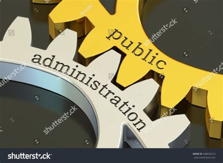 What is public administration as a profession?