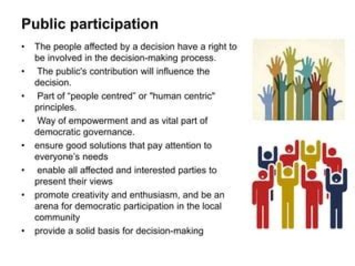 What is public participation in policy making?