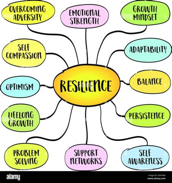What is resilience rating?