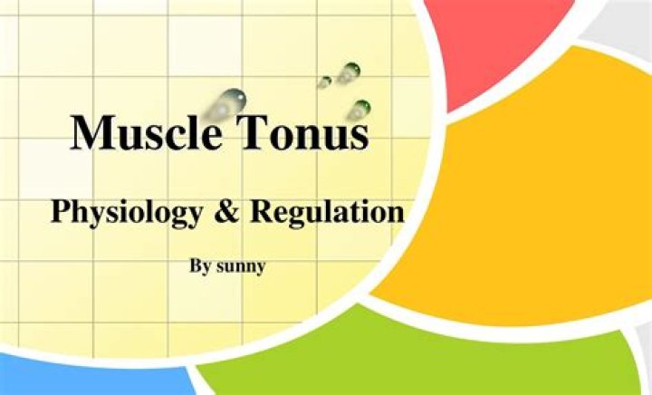What is responsible for muscle tonus?