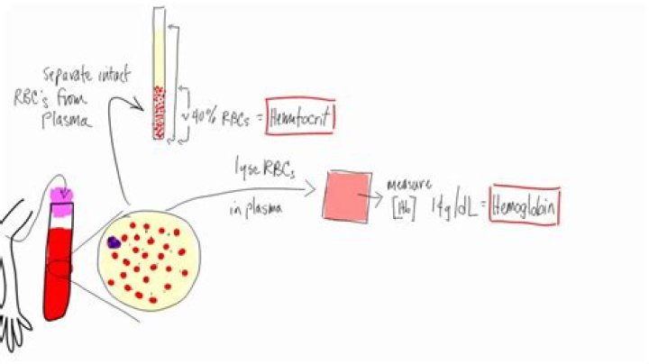 What is retic hemoglobin?