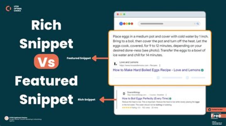 What is rich snippet WordPress?