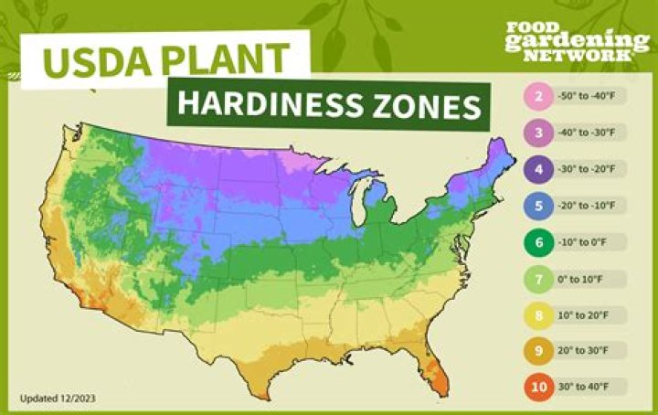 What is seeded region growing?