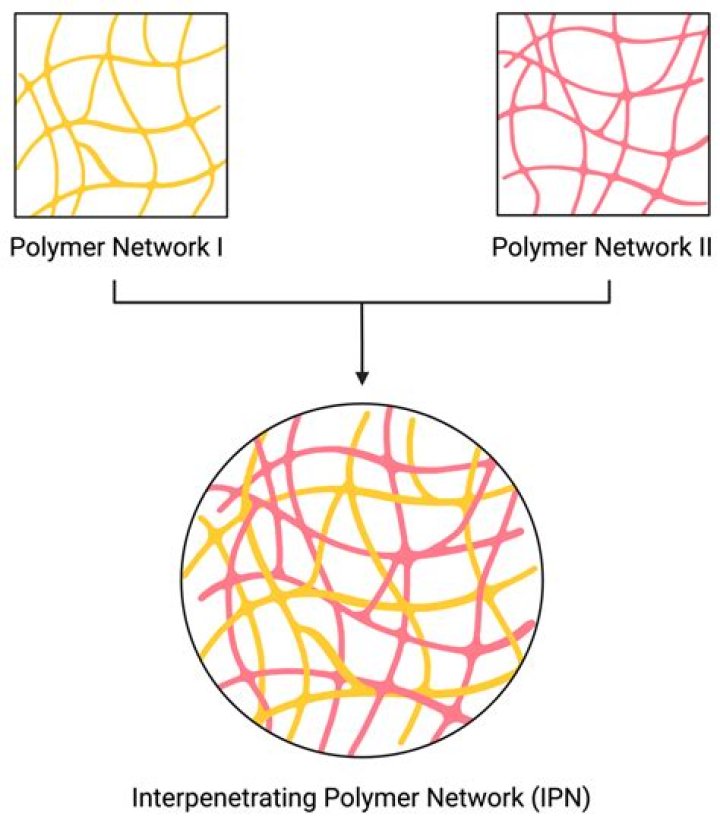 What is semi interpenetrating polymer networks?