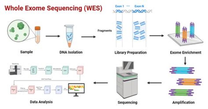 What is sequencing software?