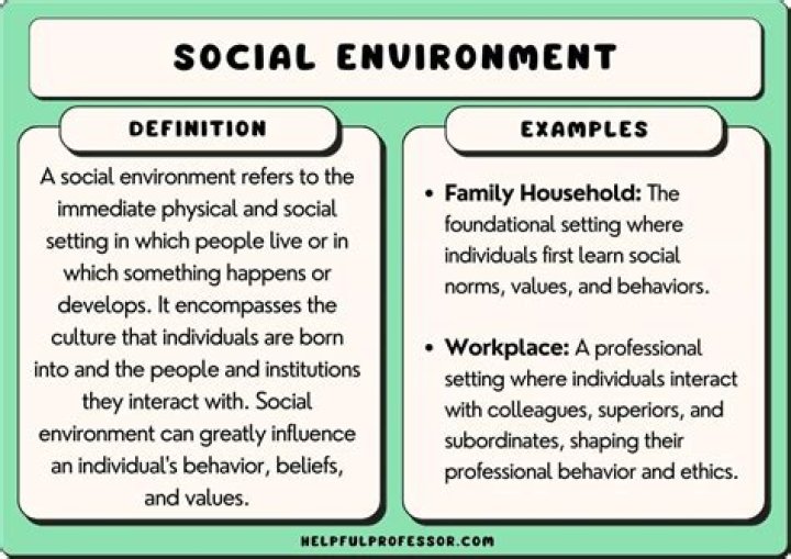 What is social environment of a child?