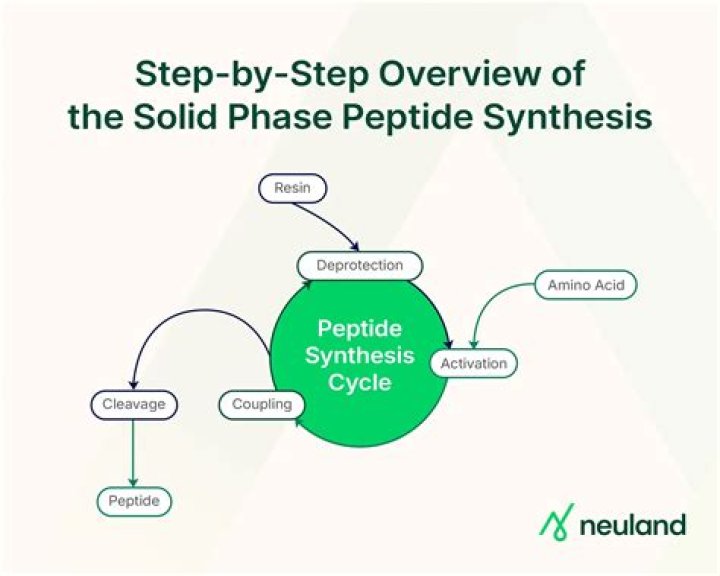 What is Solid Phase peptide synthesis explain with example?