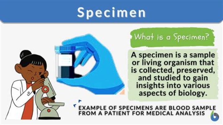 What is specimen record?
