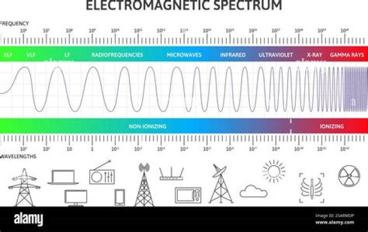 What is spectrum in signals and systems?