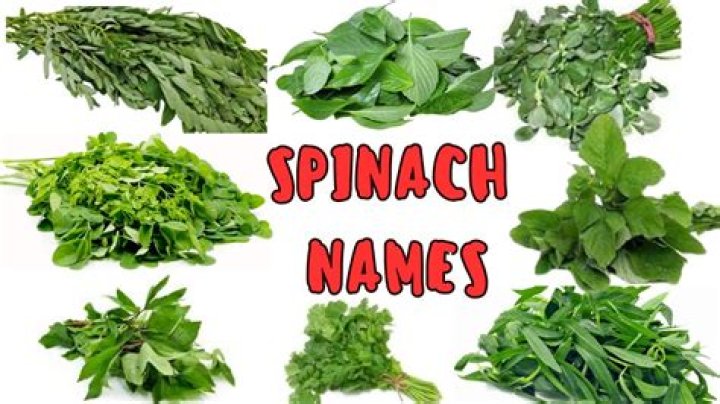 What is spinach English?