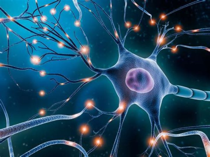 What is spontaneous neuron activity?