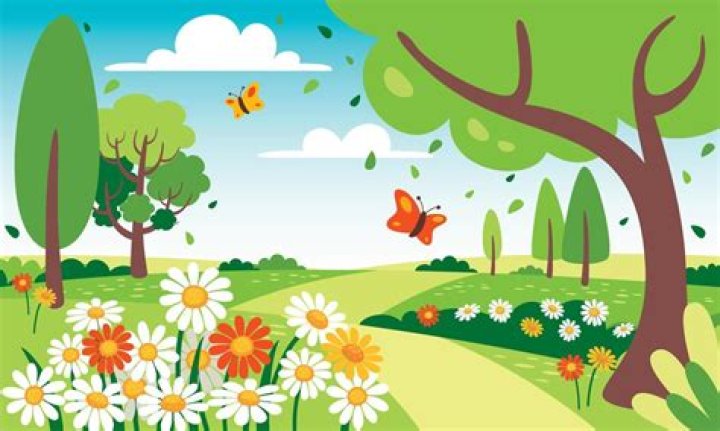What is spring animation?