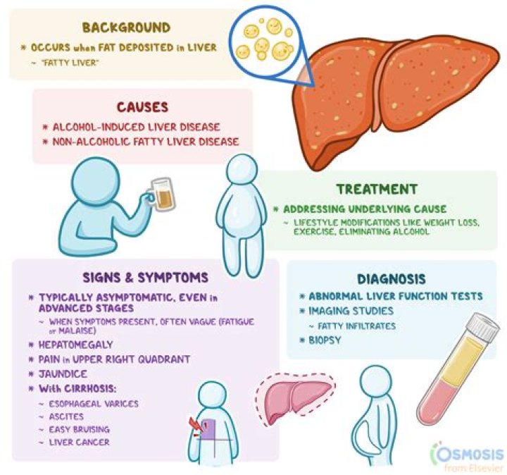 What is stenosis in liver?