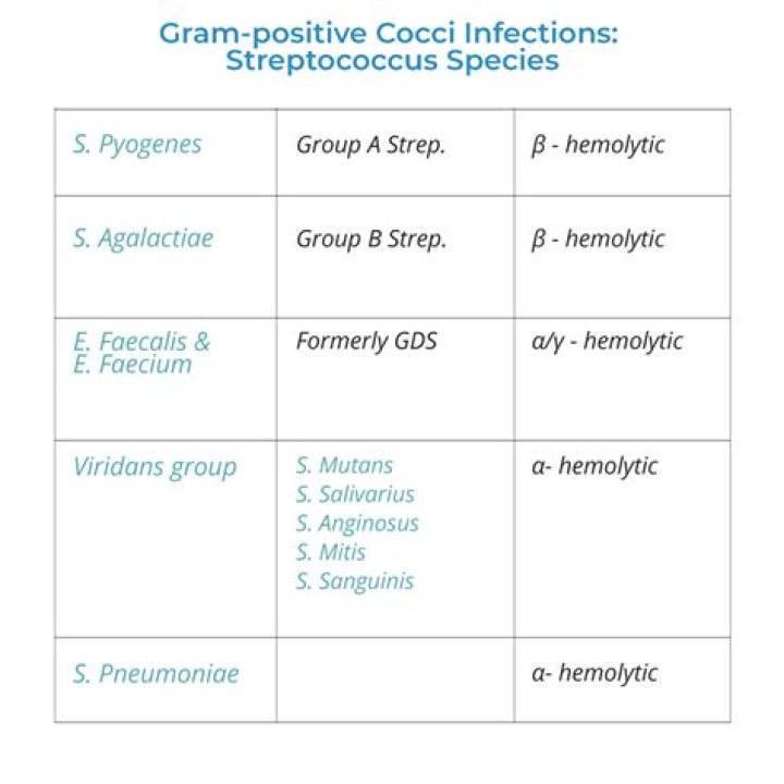What is Streptococcus Group G?