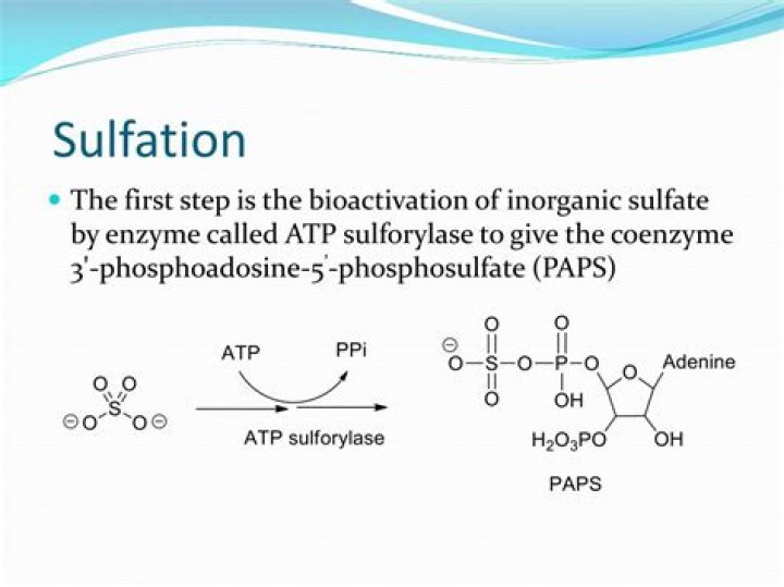 What is sulfation in metabolism?