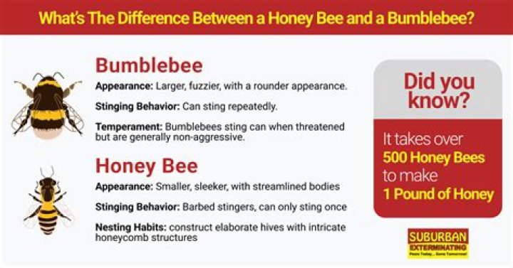 What is Supering in honey bee?
