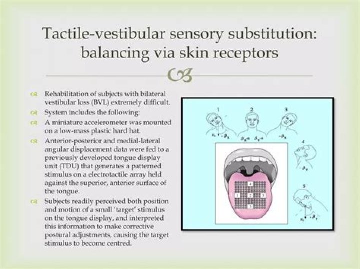 What is tactile vision sensory substitution?
