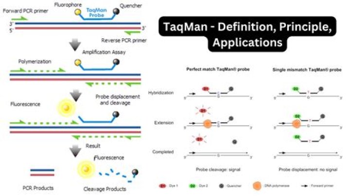 What is TaqMan Fast Advanced Master Mix?