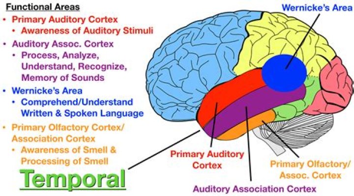 What is temporal knowledge?