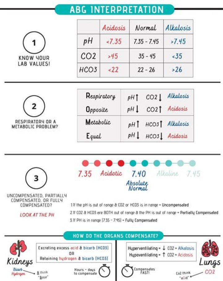 What is test interpretation?