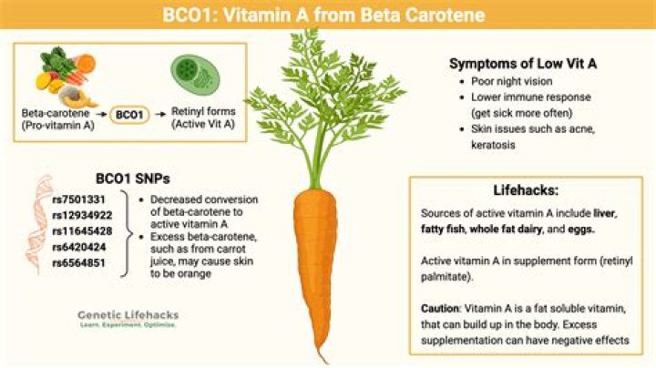 What is the absorbance of carotene?