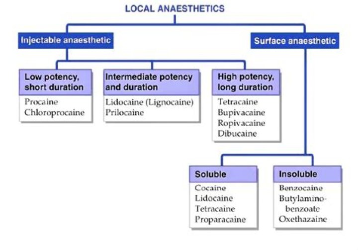What is the action of an anesthetic?