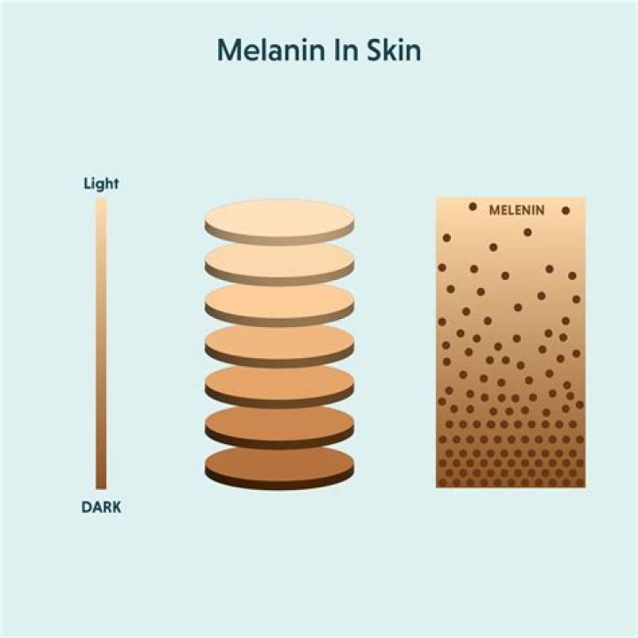What is the advantage of having melanin located in the deep layer of the epidermis?